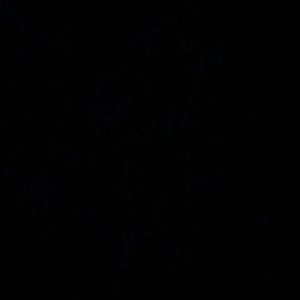 Meet your Posher, Kaleb